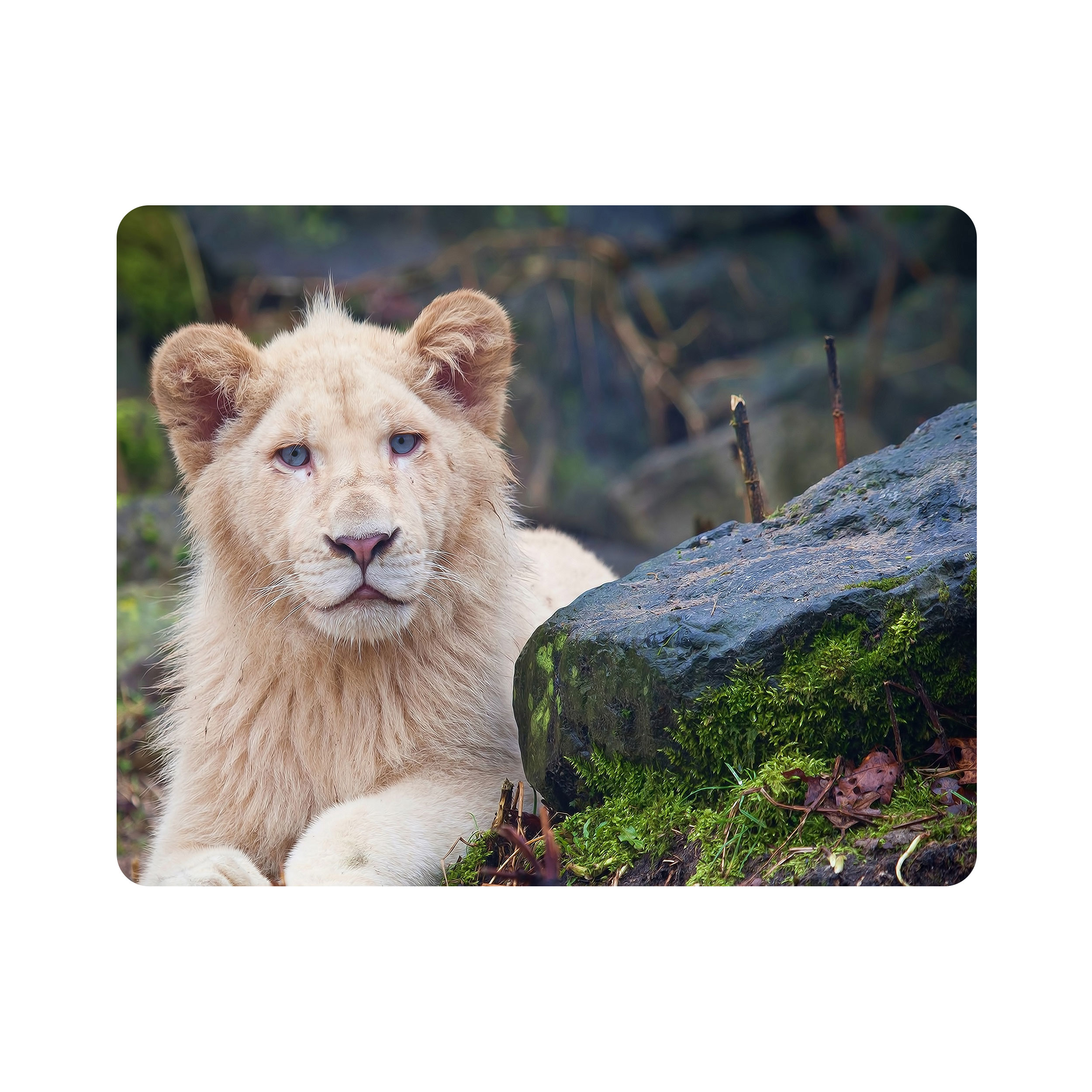 ماوس پد اطلس آبی طرح شیر مدل T1620