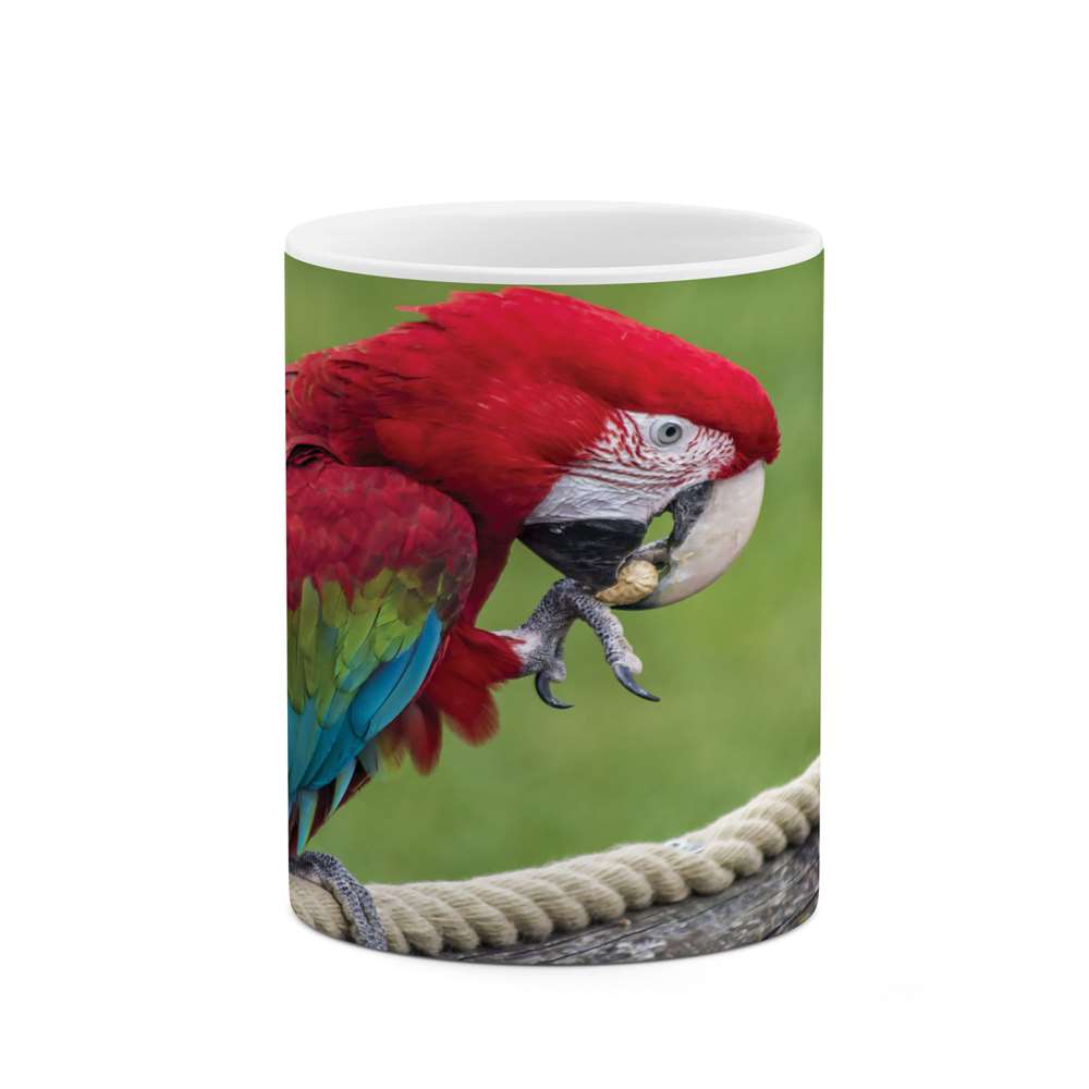 ماگ طرح طوطی مدل mgs07346