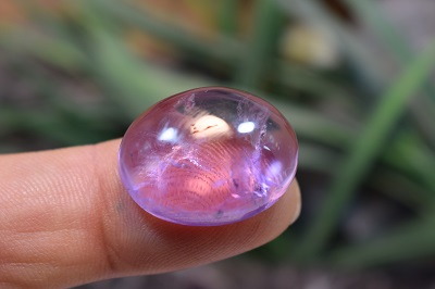 امتیست دامله(کاپوشی)