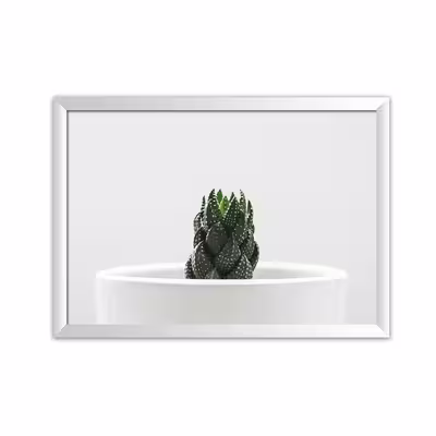 تابلو پلاتین f4-Cactus