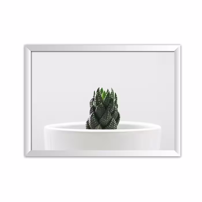 تابلو پلاتین f4-Cactus
