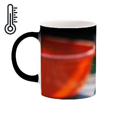 ماگ حرارتی کاکتی طرح گربه مدل mgh16748