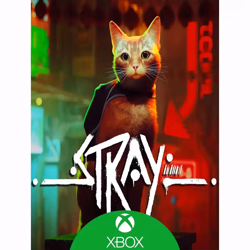 بازی Stray ایکس باکس
