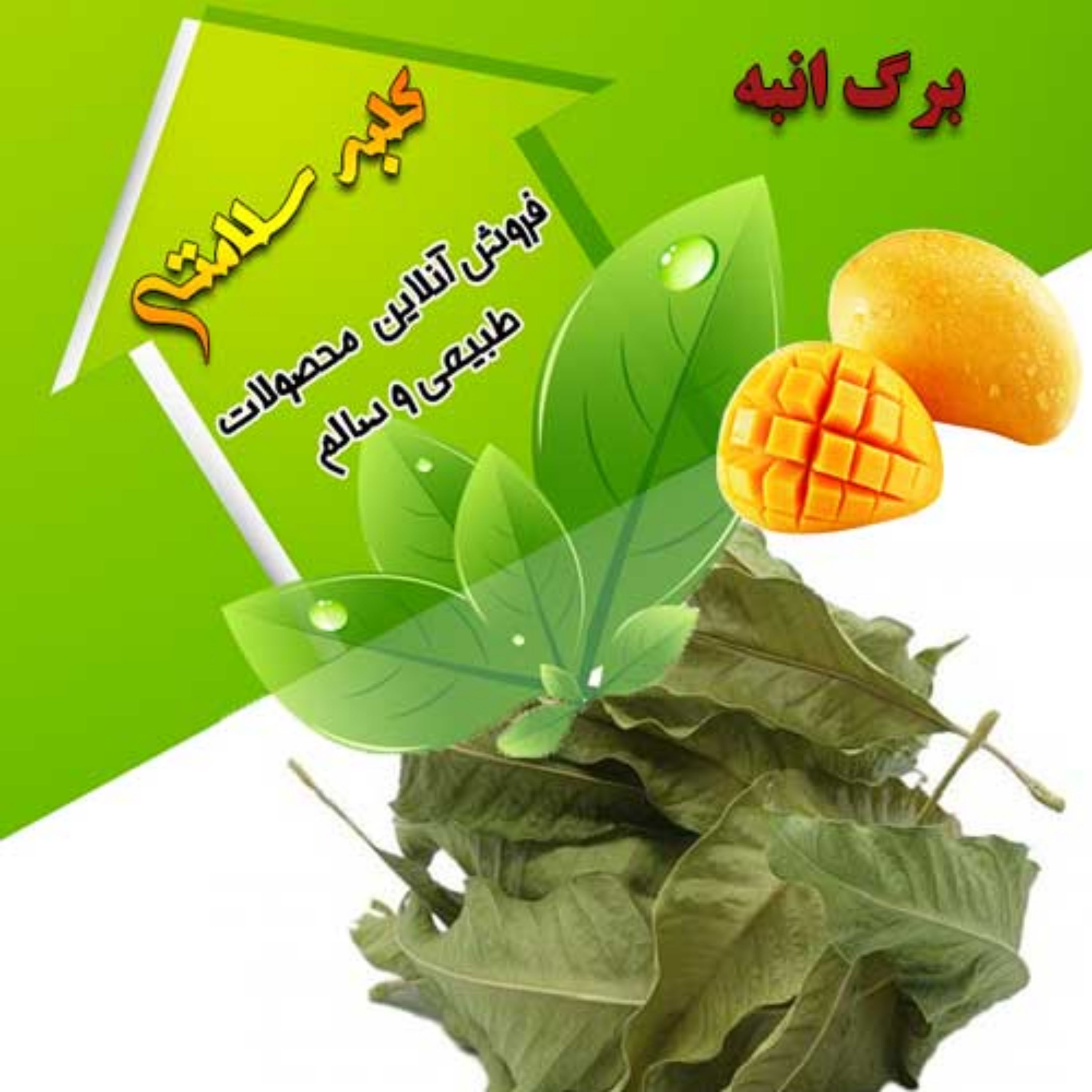 برگ انبه