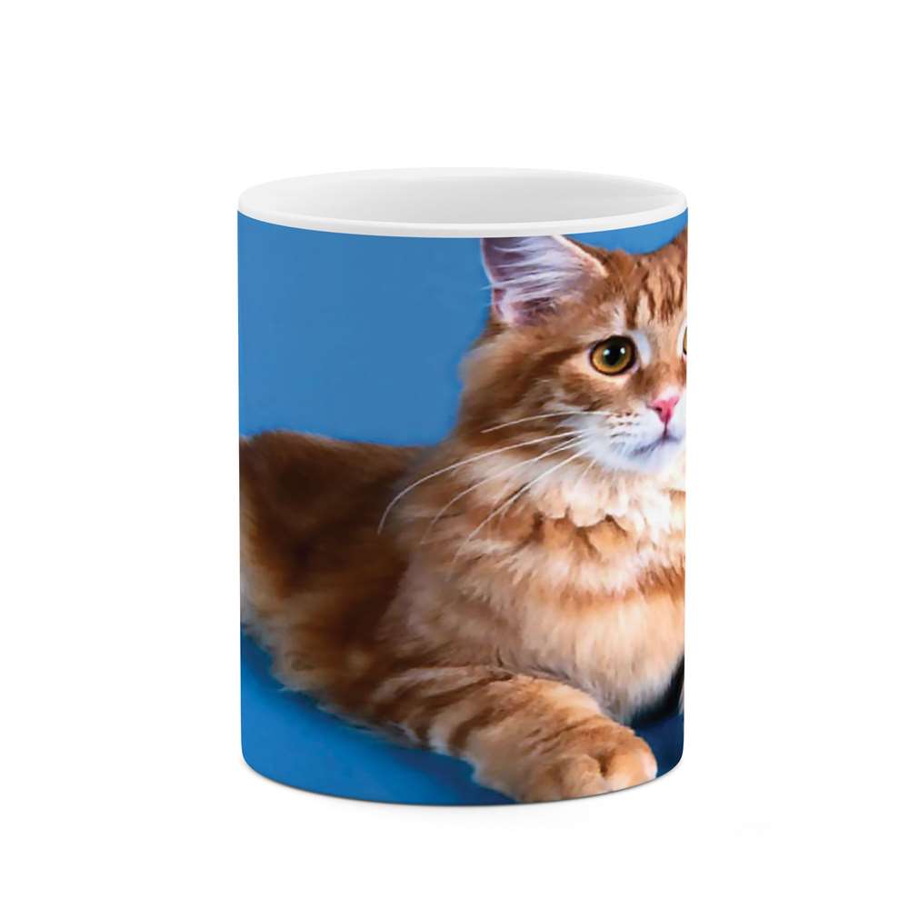 ماگ طرح گربه مدل mgs05251