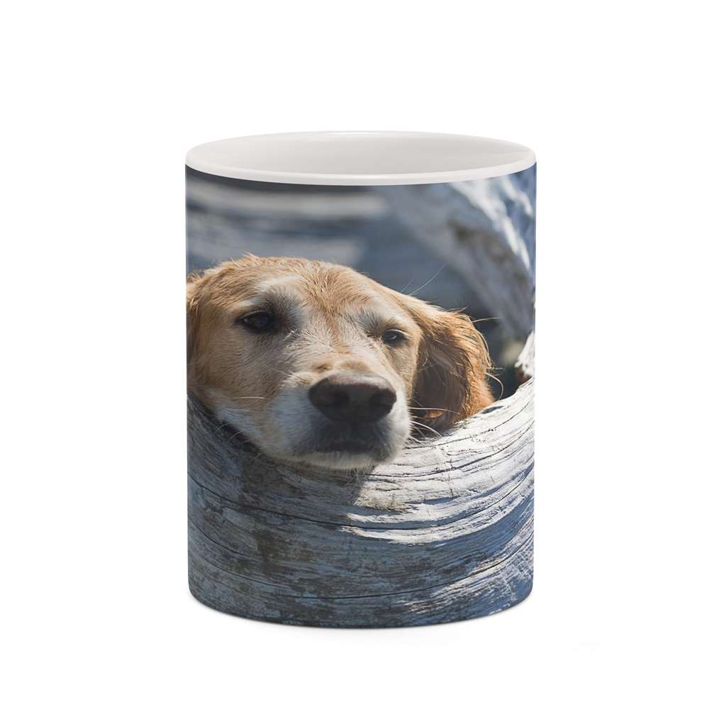 ماگ کاکتی طرح سگ مدل mgh19235