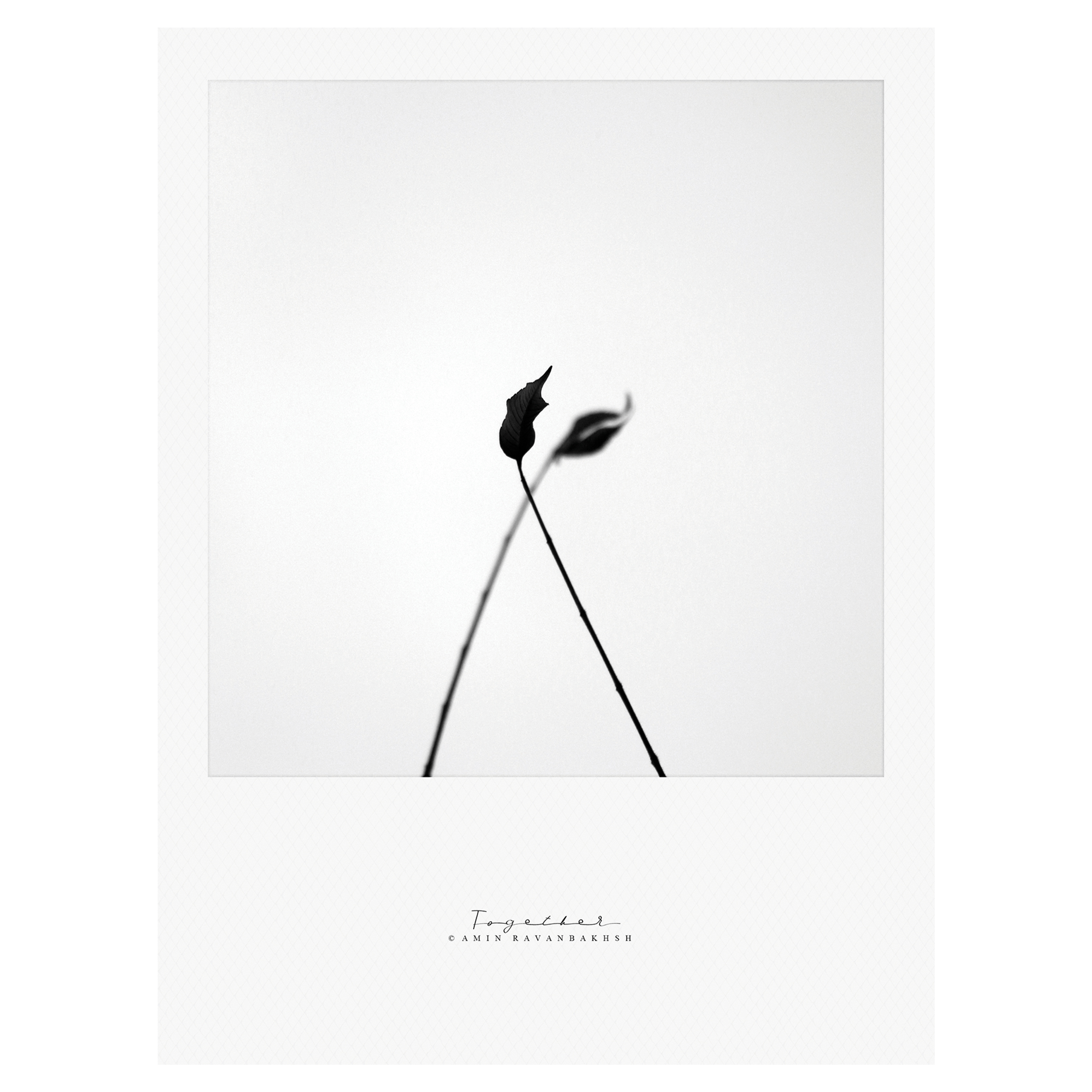 تابلو شاسی مدل Polaroid_Minimal