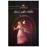 کتاب شاهزاده خانمی در مترو اثر محدثه گودرز نیا انتشارات کانون پرورش فکری کودکان و نوجوانان