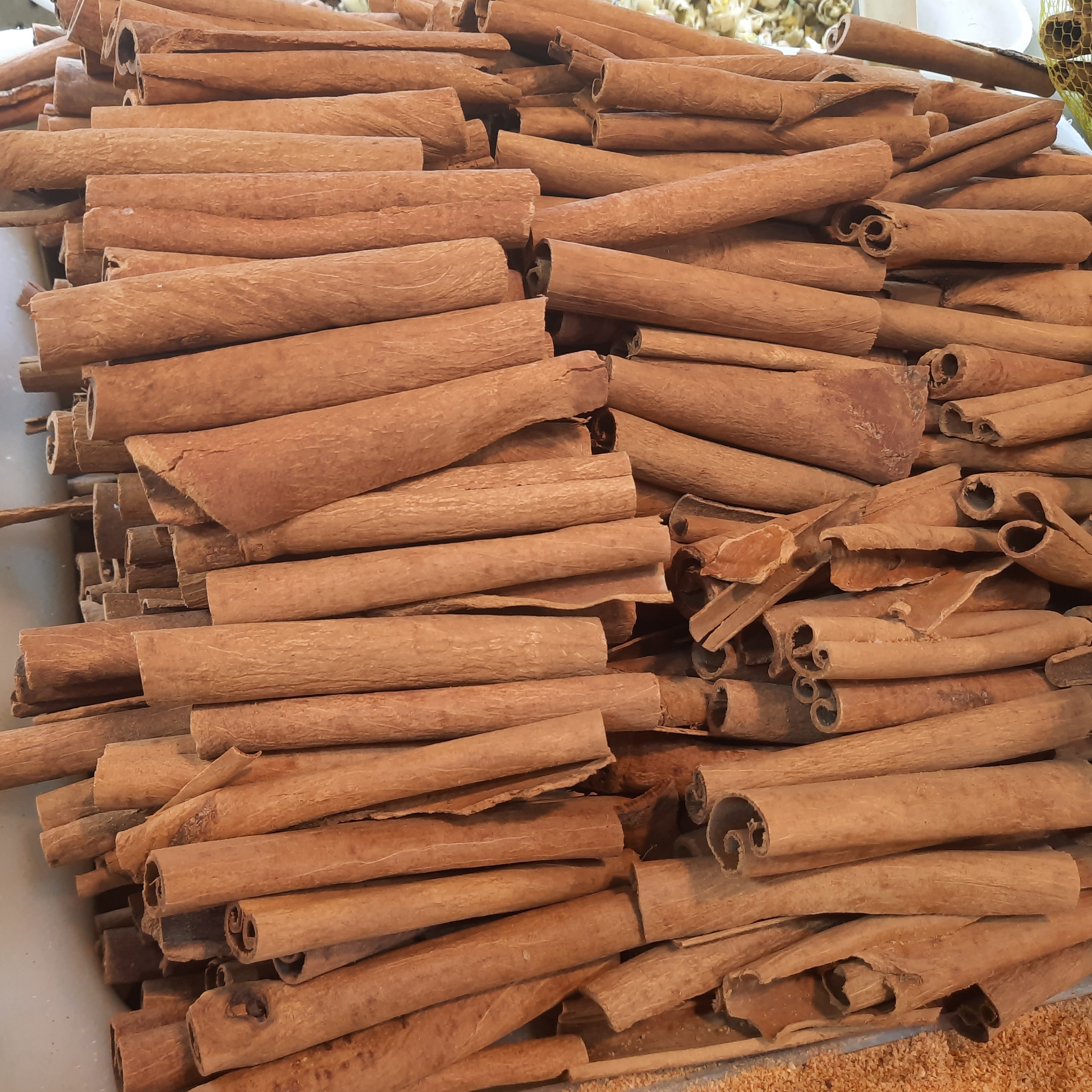 دارچین سیگاری 