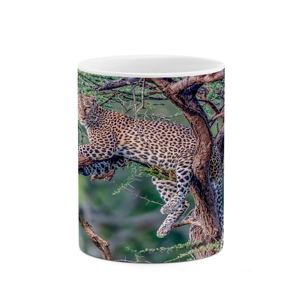 ماگ کاکتی طرح پلنگ مدل mgs16713