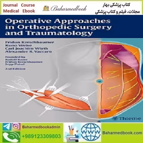 Operative Approaches in Orthopedic Surgery and Traumatology 2