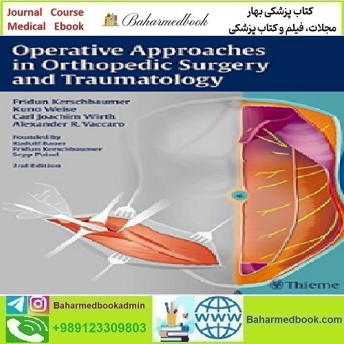 Operative Approaches in Orthopedic Surgery and Traumatology 2