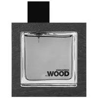 ادو تویلت مردانه دیسکوارد مدل He Wood Silver Wind Wood حجم 50 میلی لیتر