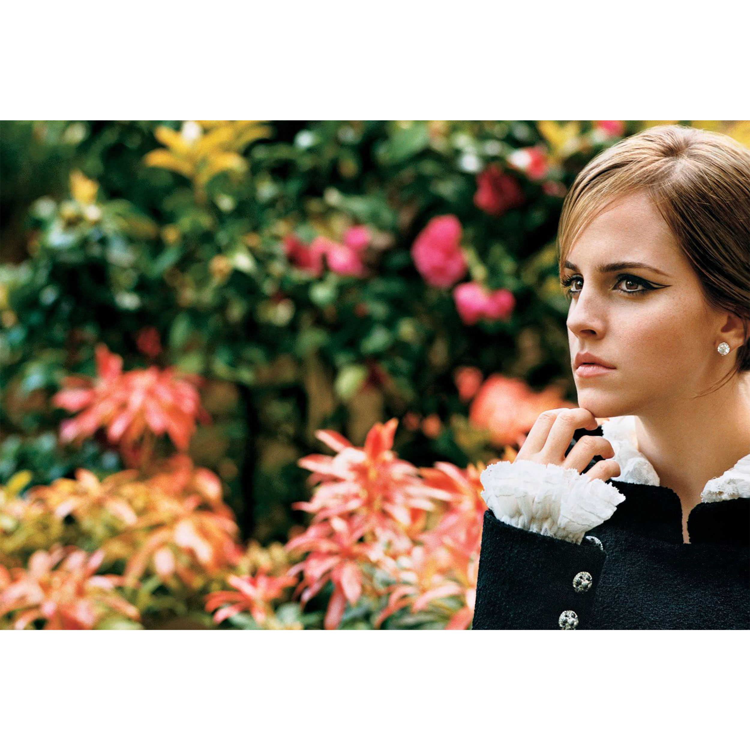 تابلو شاسی مدل بازیگر اما شارلوت واتسون T6411