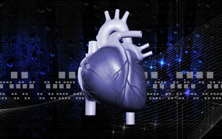 خرید و دانلود عکس Medical-Part-1 کد 32306 | پیک فاکس | Pic Fox