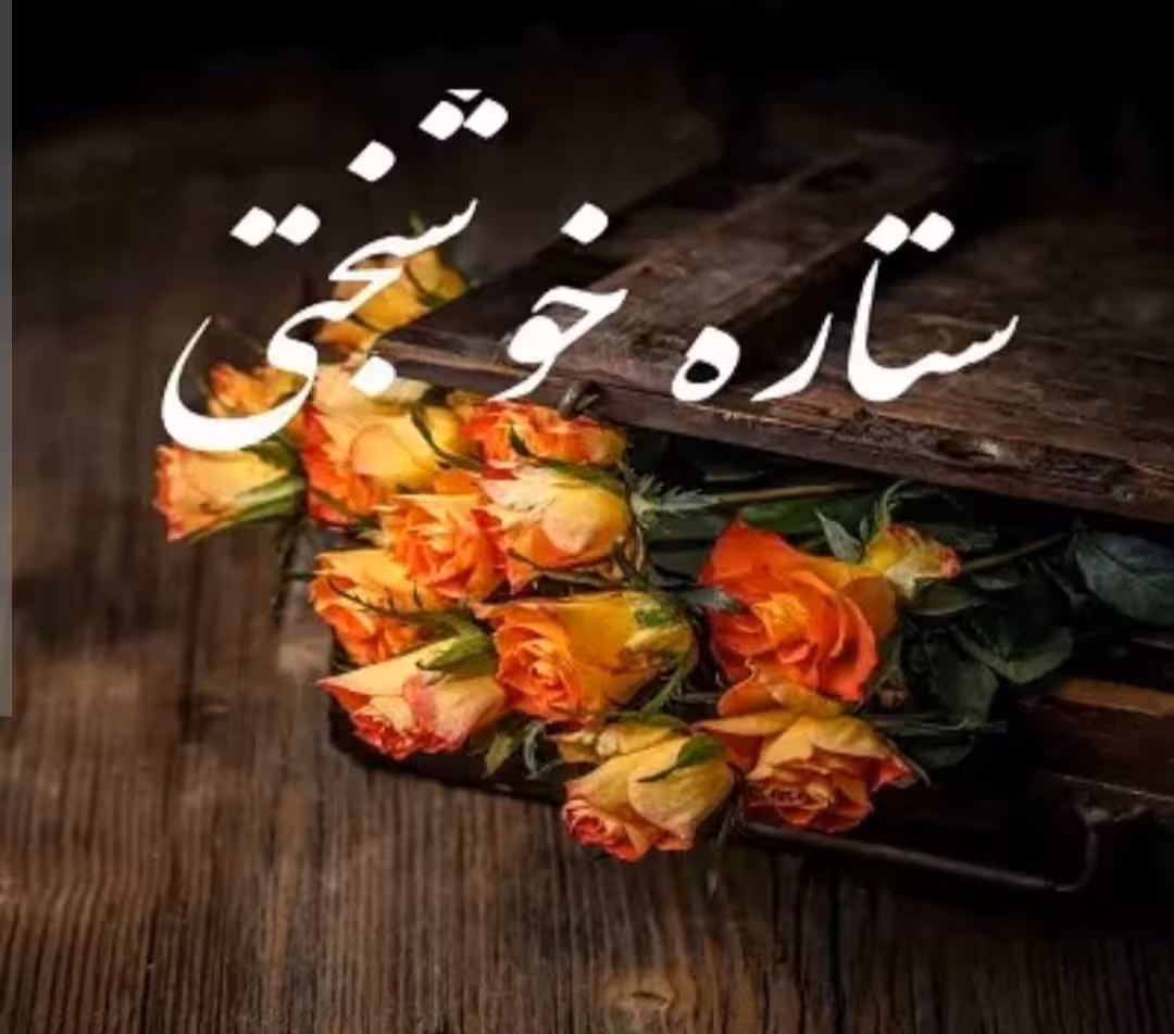 PDF رمان ستاره خوشبختی در ژانر عاشقانه و ازدواج قراردادی