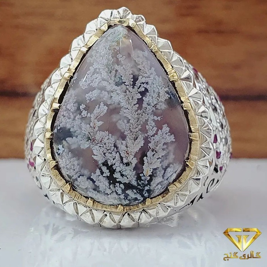 نگین شجربهاره بامهراستادمهدی فاضل