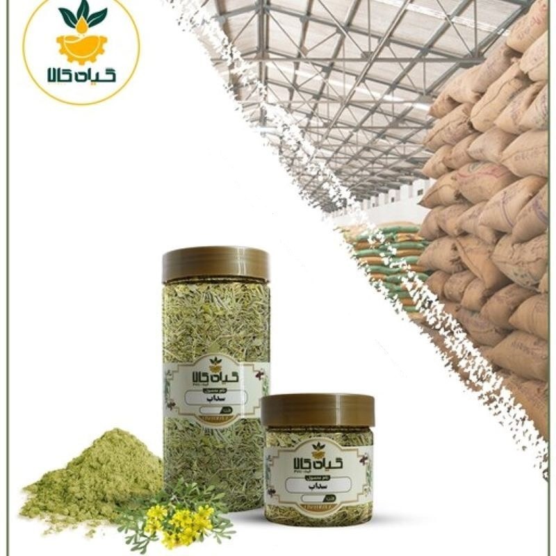 گیاه سداب با کیفیت عالی، بار امسالی و تازه(500گرمی )
