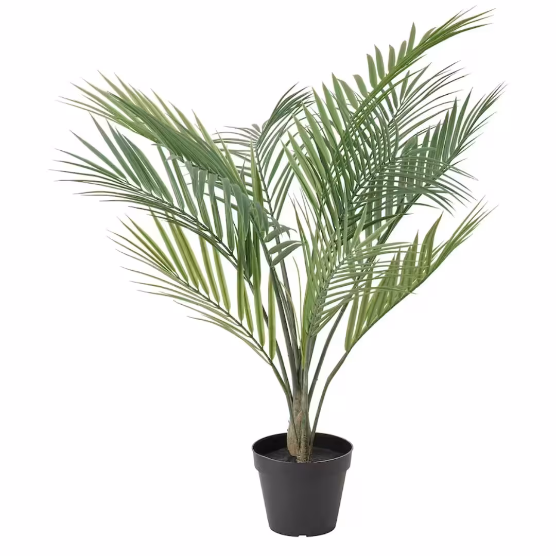 گلدان مصنوعی نخل آرکا مدل FEJKA. آیکیا سوئد. 12cm. همناسب برای داخل و خارج خانه. کدمحصول 305.084.03. 