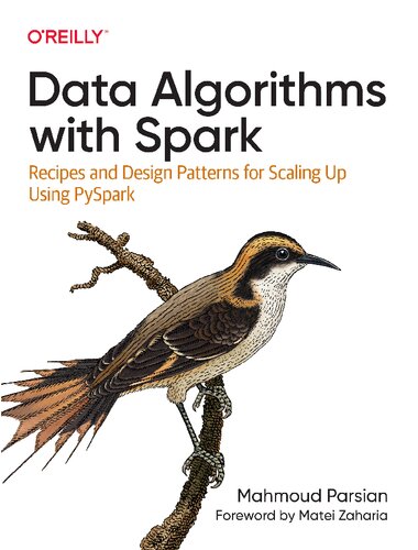 خرید و دانلود نسخه کامل کتاب Data Algorithms with Spark: Recipes and Design Patterns for Scaling Up using PySpark