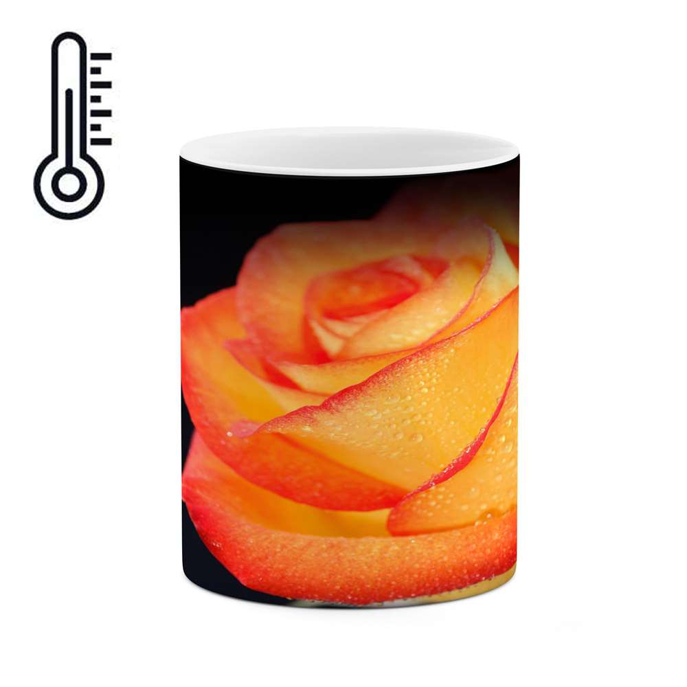 ماگ حرارتی 
کاکتی طرح گل رز مدل mgh18045