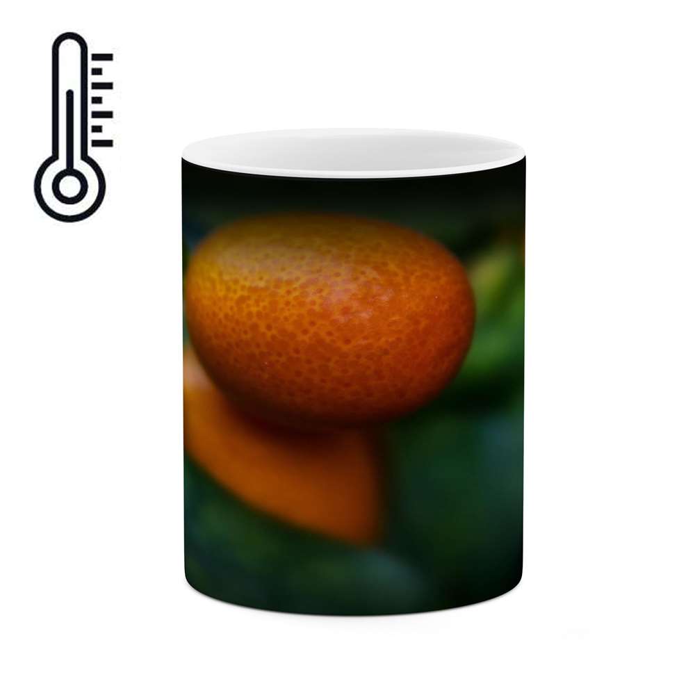 ماگ حرارتی کاکتی طرح میوه مدل mgh17411