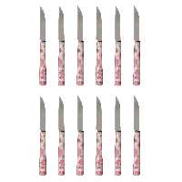 کارد میوه خوری دی ام جی مدل FLOWER-T بسته 12 عددی