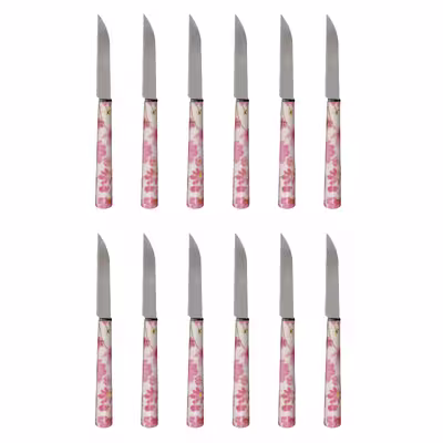 کارد میوه خوری دی ام جی مدل FLOWER-T بسته 12 عددی