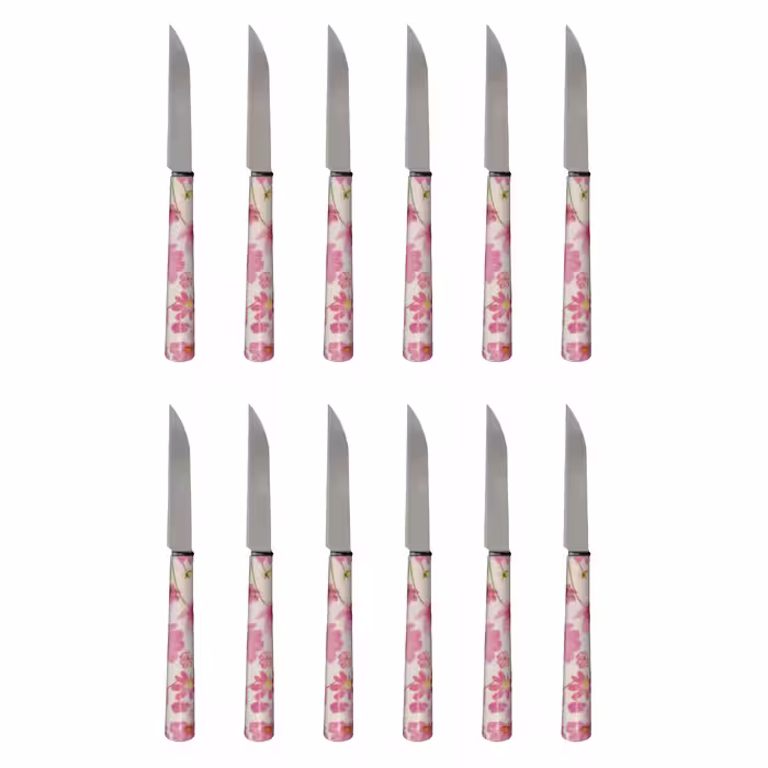 کارد میوه خوری دی ام جی مدل FLOWER-T بسته 12 عددی