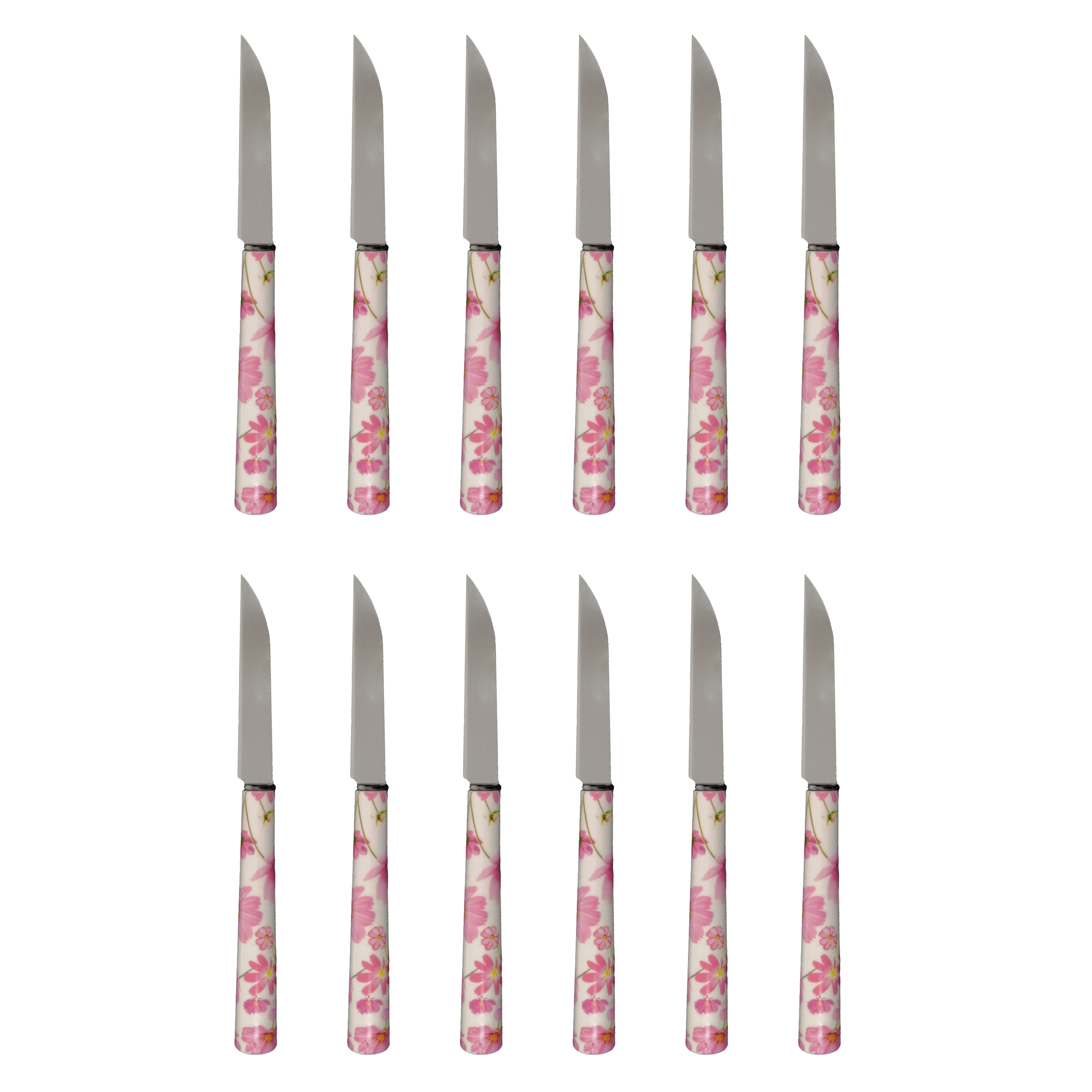 کارد میوه خوری دی ام جی مدل FLOWER-T بسته 12 عددی