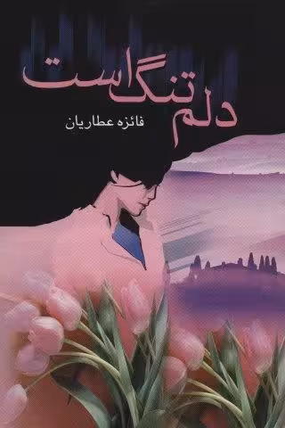 دلم تنگ است