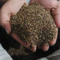 کنجد قهوه ای  100  گرمی 