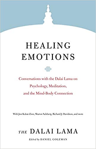 خرید و دانلود نسخه کامل کتاب Healing Emotions: Conversations with the Dalai Lama on Psychology, Meditation, and the Mind-Body Connection - Pdf