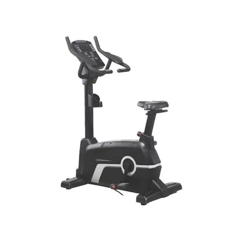 دوچرخه ثابت ایستاده اکوفیت EcoFit 9400