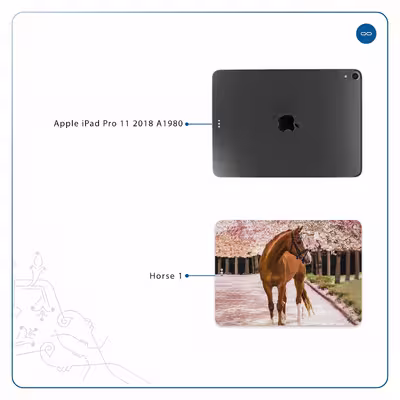 برچسب پوششی ماهوت مدل Horse-1 مناسب برای تبلت اپل iPad Pro 11 2018 A1980