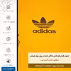 برچسب پوششی ماهوت مدل ML-DDS مناسب برای گوشی موبایل هوآوی P10 Plus