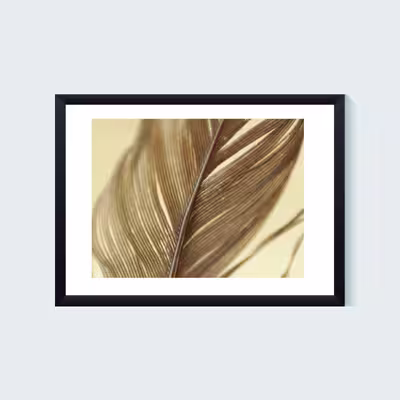 تابلو مدل رز کد SD108 مجموعه 6 عددی