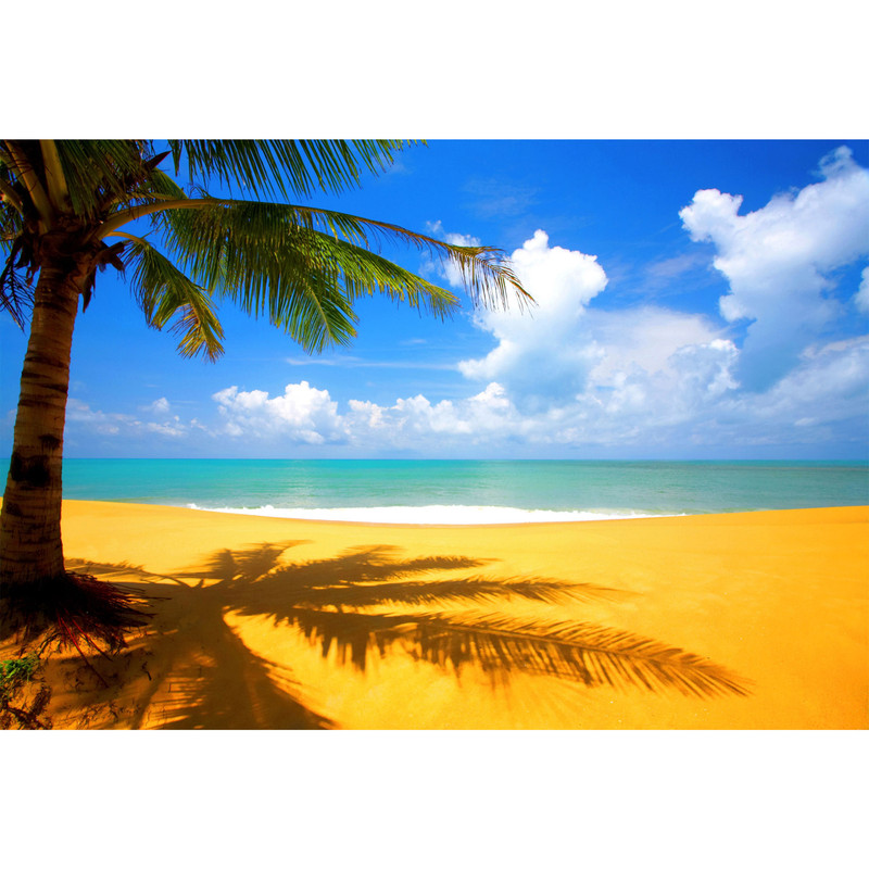 تابلو شاسی مدل دریا و ساحل و نخل T7457 | دنیای قاب