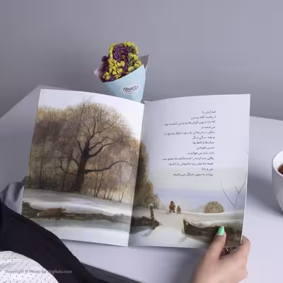 کتاب جغد در مهتاب اثر جین یولن انتشارات میچکا