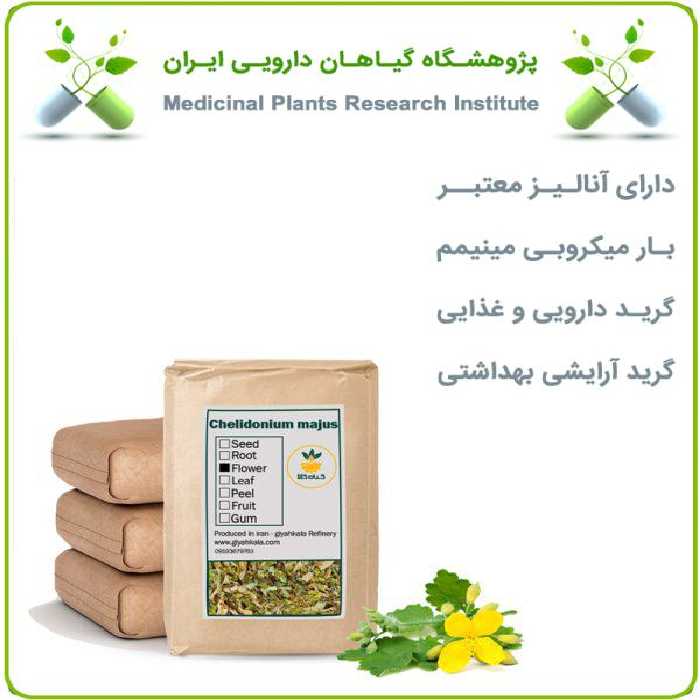 گل مامیران کبیر خشک فله