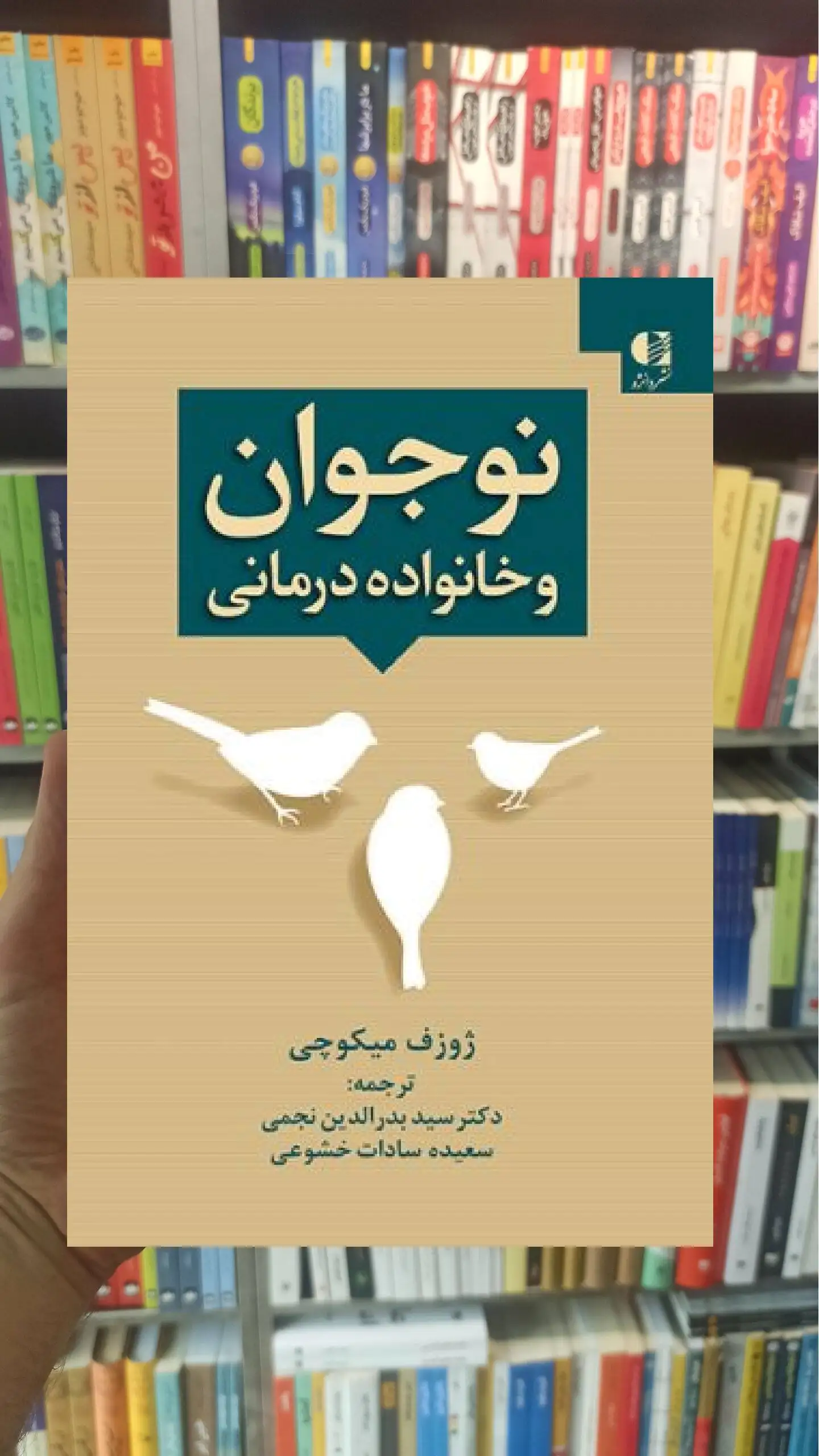 نوجوان و خانواده درمانی میکوچی دانژه - بانک کتاب ماندگار-قیمت-خرید-کتاب-کمک-درسی-کنکور-دانشگاهی