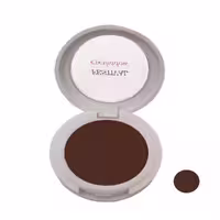 سایه چشم فستیوال شماره 22F