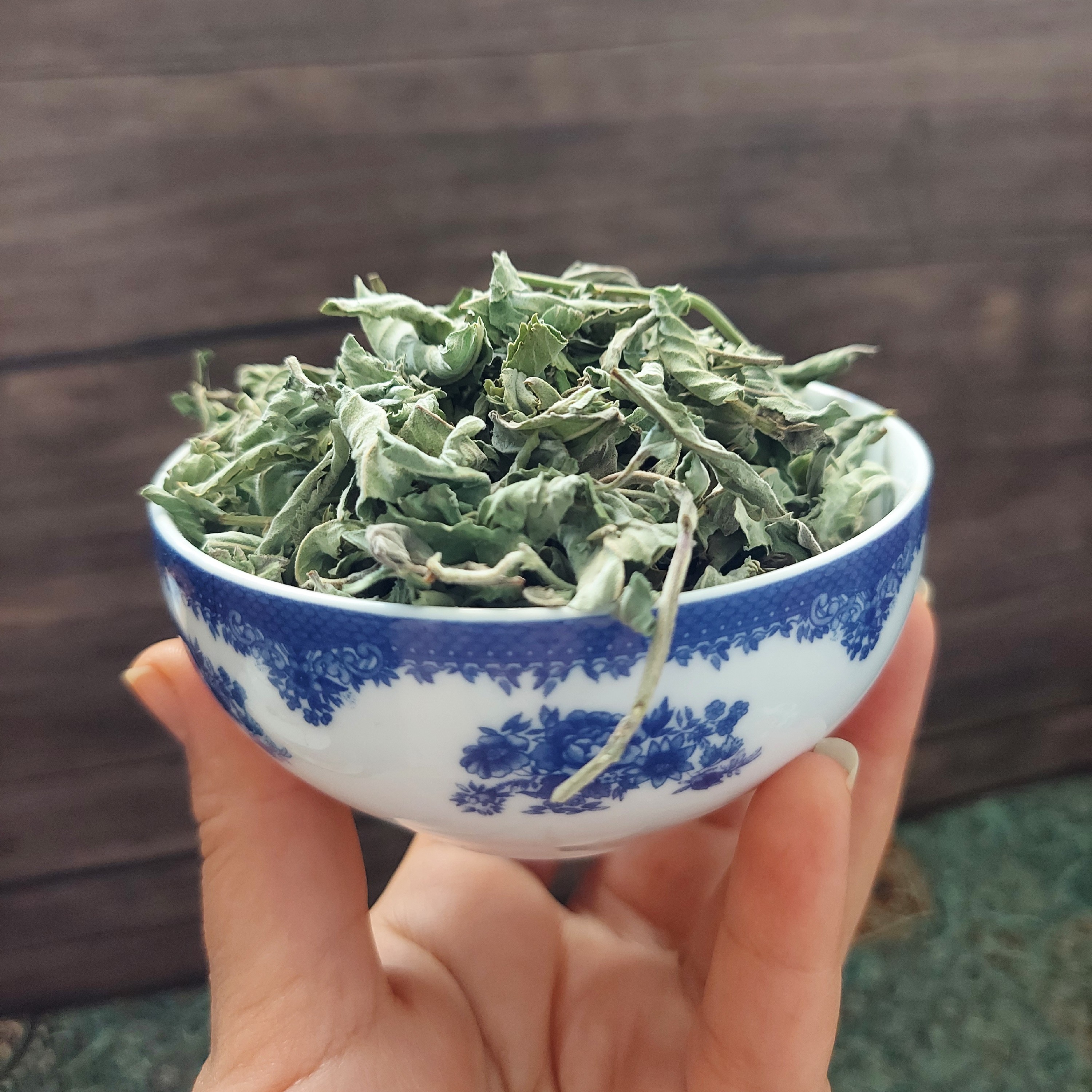 نعنا خشک کوهی کوه های زاگرس جنوبی (پونه کوهی) طبیعی خشک شده