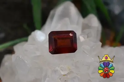 گارنت هسونیت