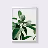 تابلو طرح برگ مدل Feee-IR106
