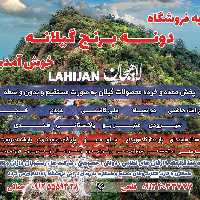 تخم مرغ  کاملا محلی گیلان هزینه ارسال پس کرایه میباشد