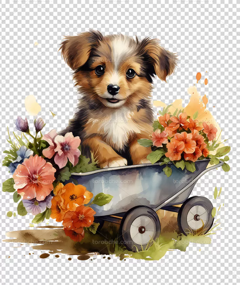 عکس PNG سگ با گل | گرافیک با طعم تربچه