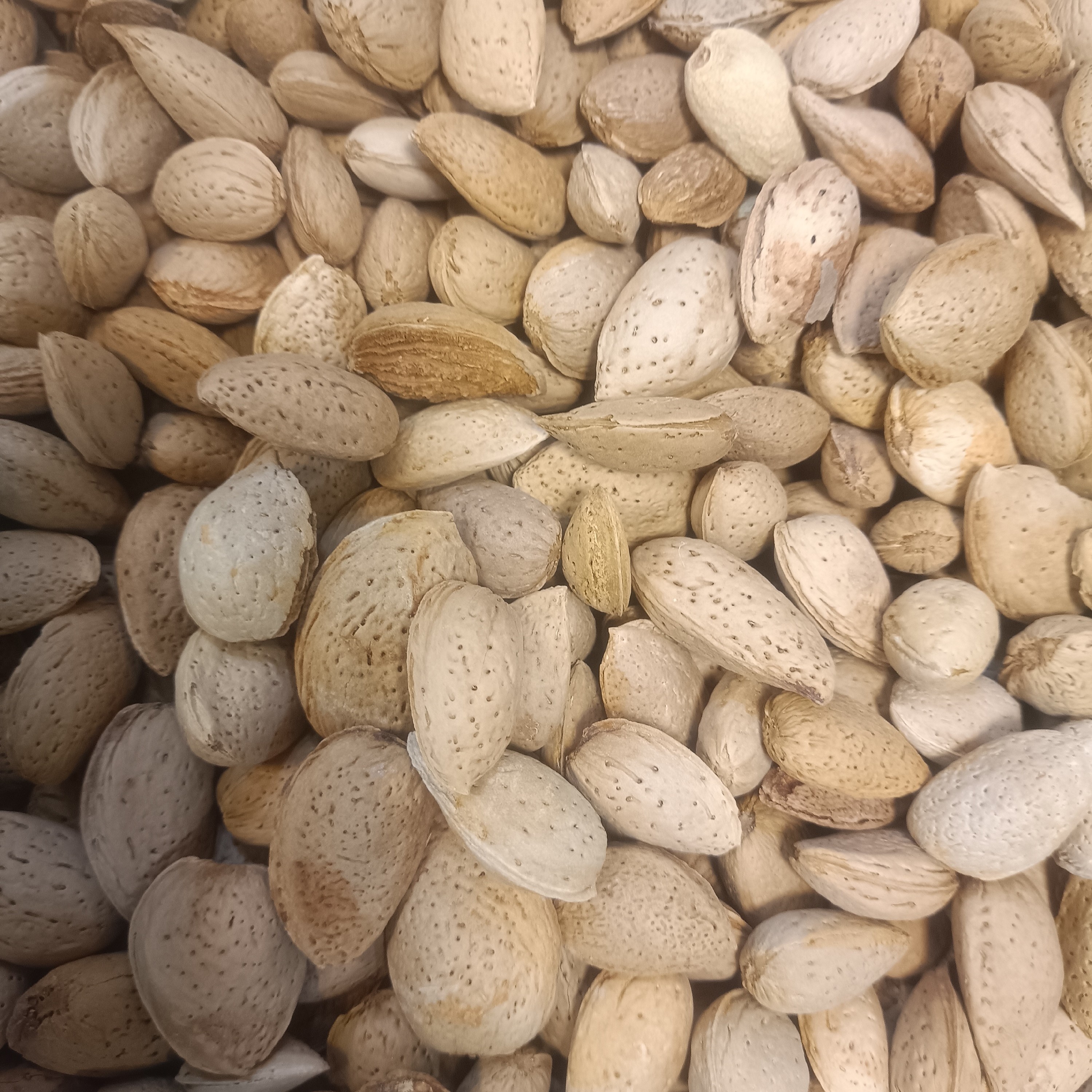 بادام سنگی سبزوار (پانصد گرم)