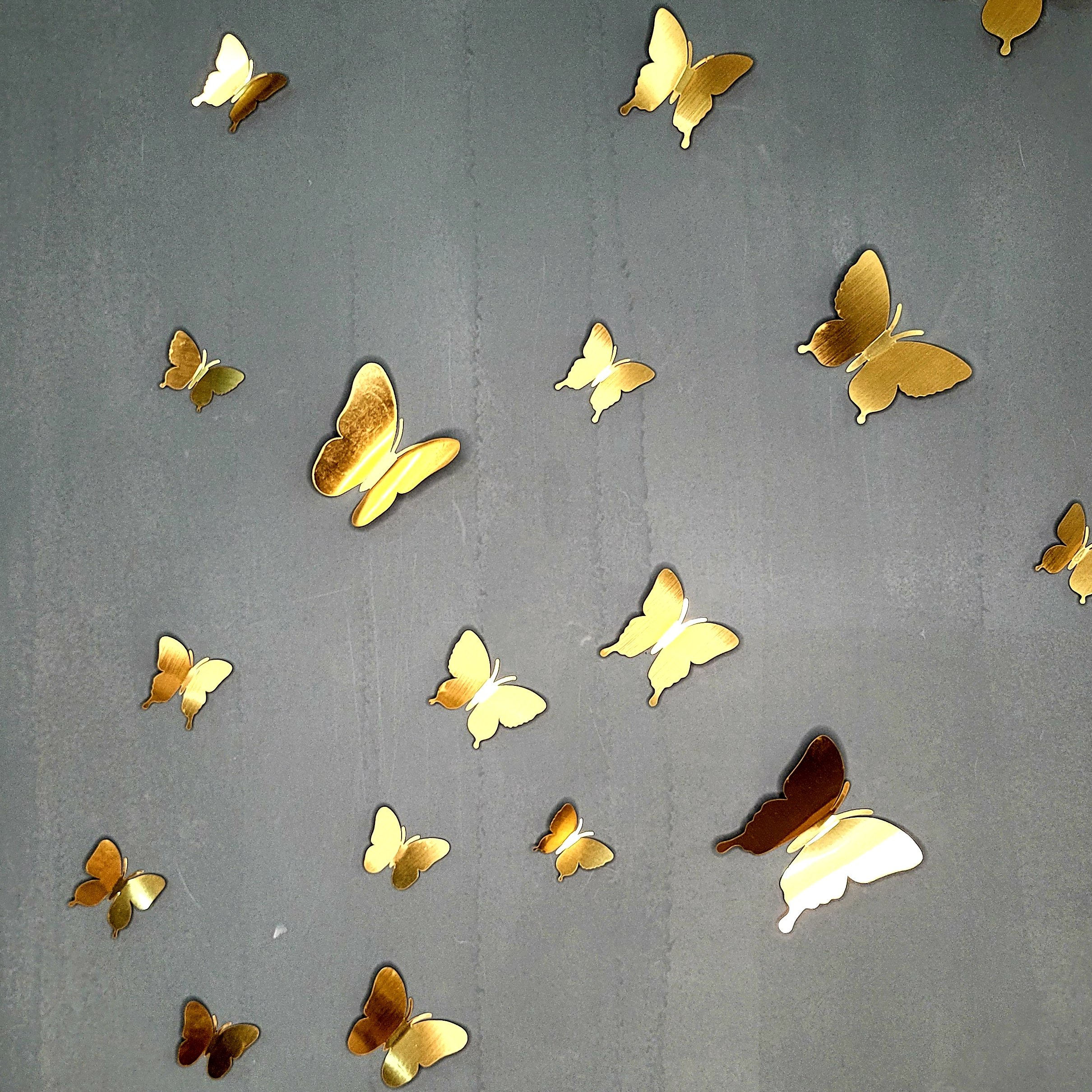 پروانه دکوراتیو