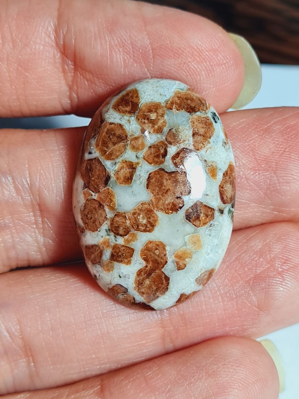 سنگ گارنت این لیمه طبیعی بیضی 3987